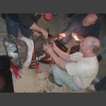 Jan 22, 2006