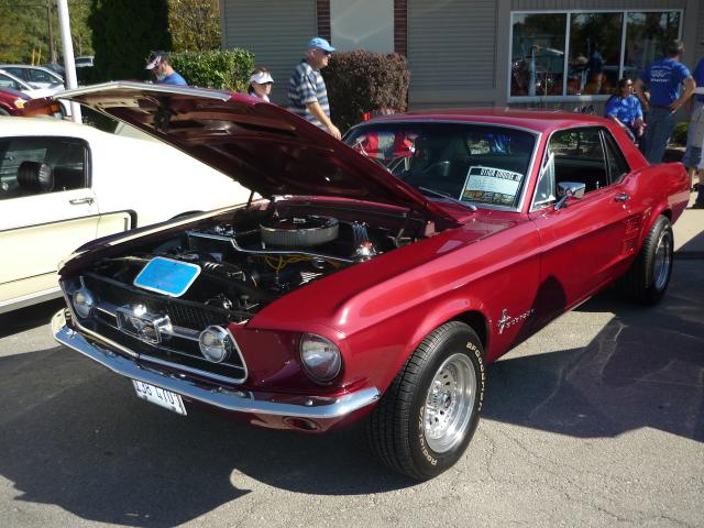 P1030957.JPG
