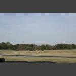 RM_MG_6407