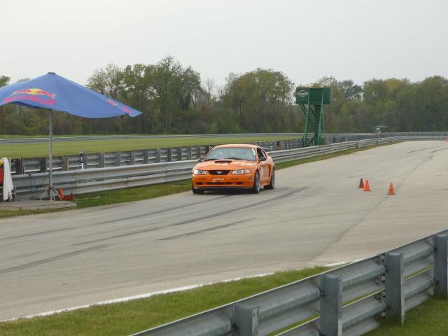 P1000784.JPG