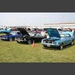 IMG_7618a.JPG