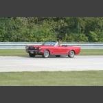 IMG_7163.JPG
