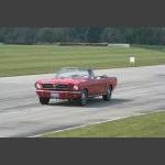 IMG_7231.JPG