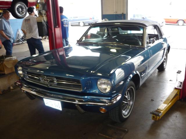 P1010680.JPG
