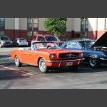 IMG_9381.JPG