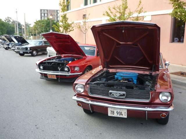 P1020463.JPG