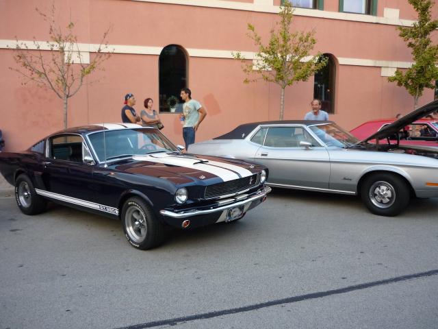 P1020470.JPG