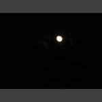 IMG_2027.JPG