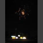 IMG_2033.JPG