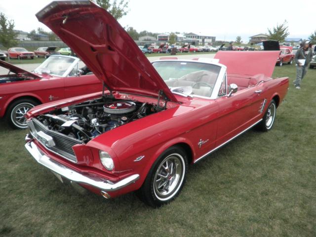 P9260416.JPG
