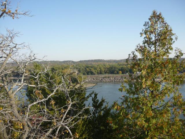 P1030900.JPG