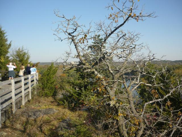 P1030901.JPG
