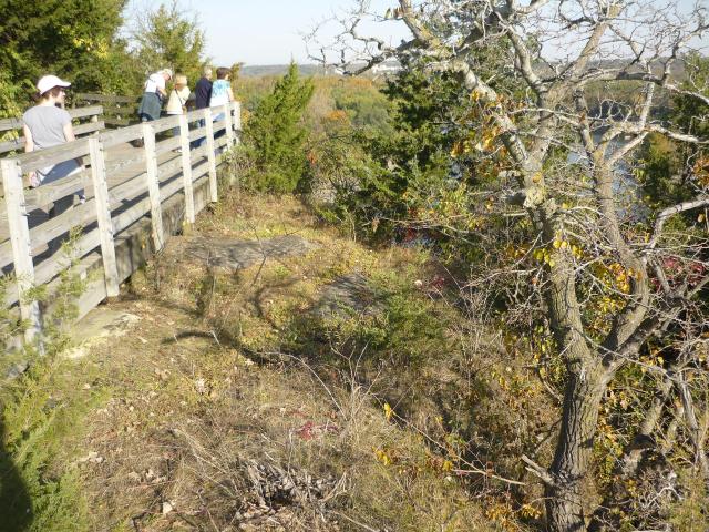 P1030902.JPG