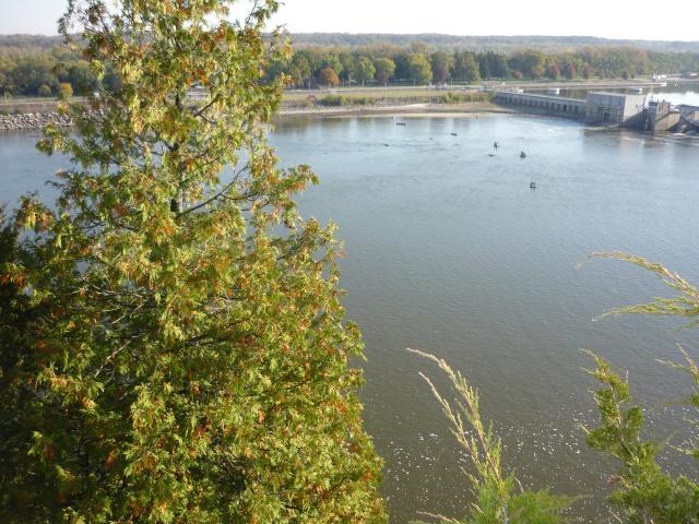 P1030904.JPG