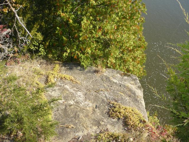 P1030907.JPG