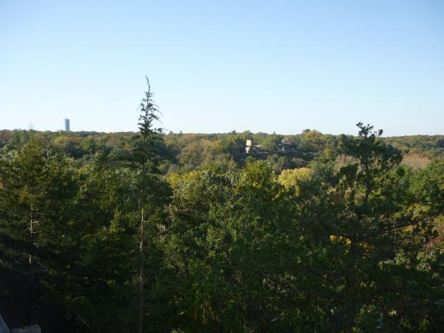 P1030914.JPG