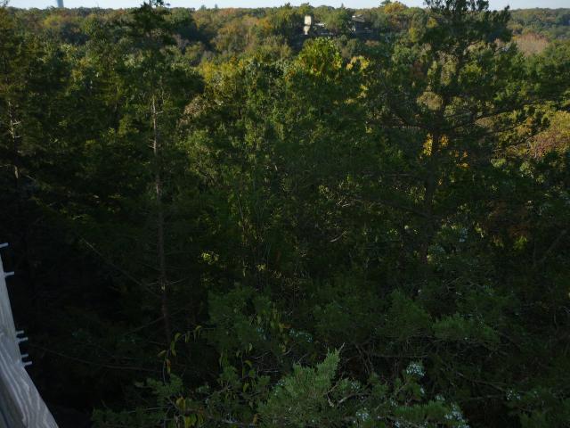 P1030915.JPG