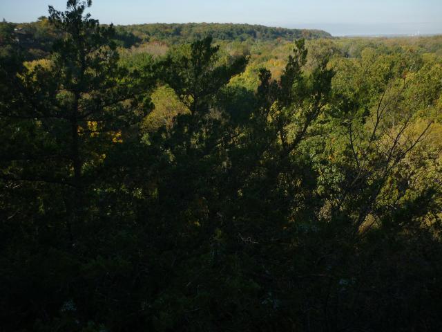 P1030916.JPG