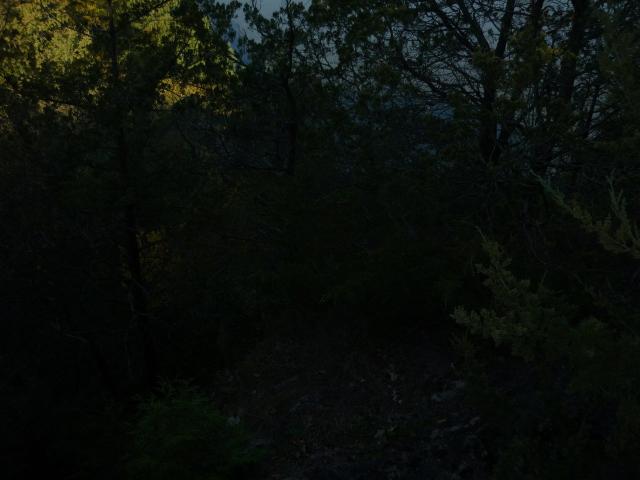 P1030919.JPG