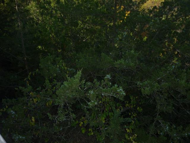 P1030921.JPG
