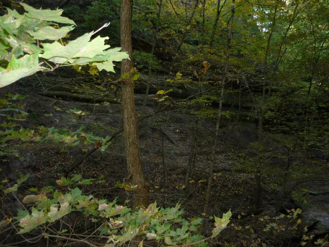P1030926.JPG