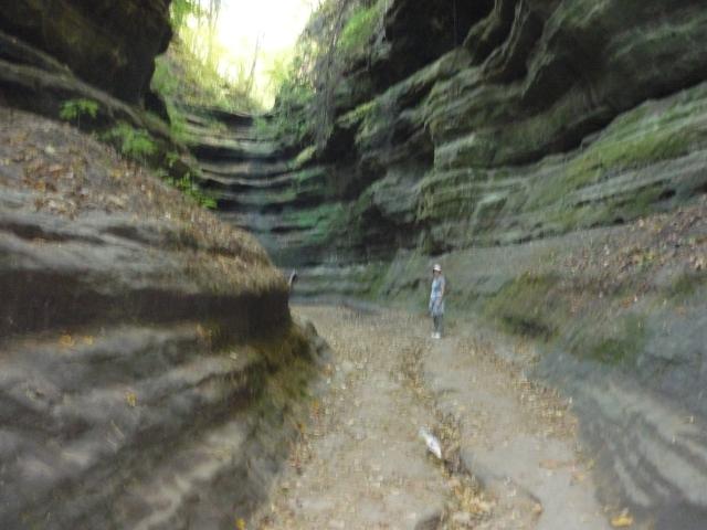 P1030934.JPG