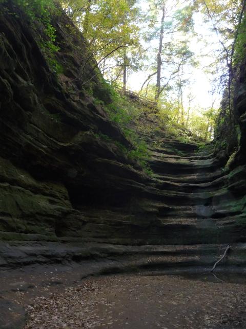 P1030939.JPG
