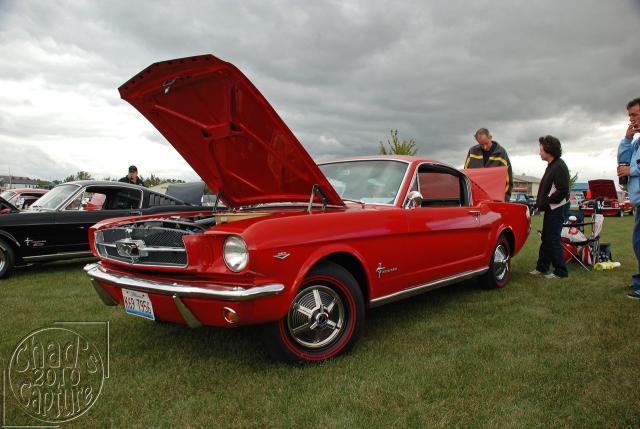 DSC_3396.jpg