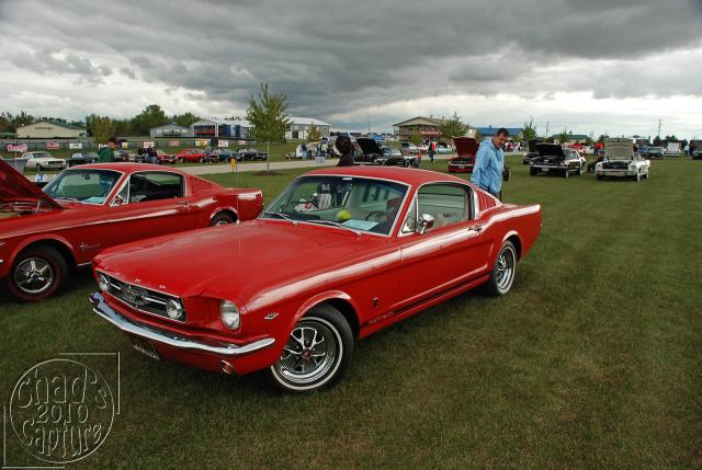 DSC_3398.jpg