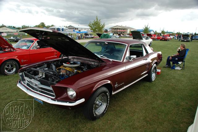 DSC_3403.jpg