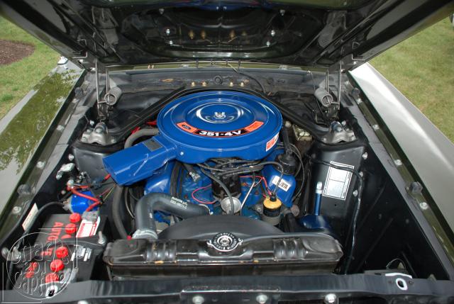 DSC_3413.jpg