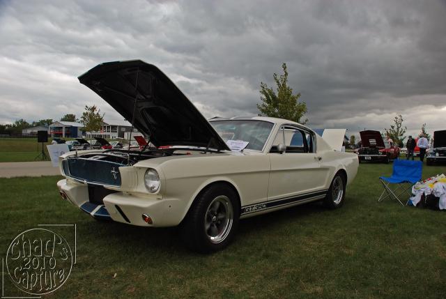 DSC_3439.jpg