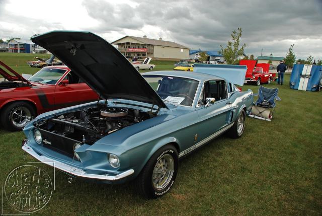 DSC_3446.jpg