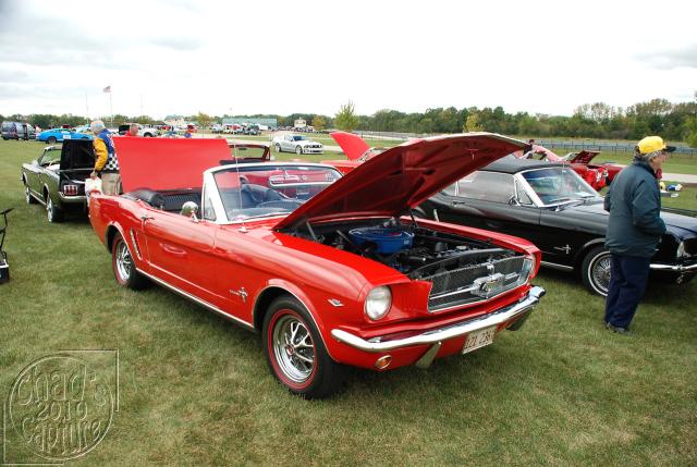 DSC_3583.jpg