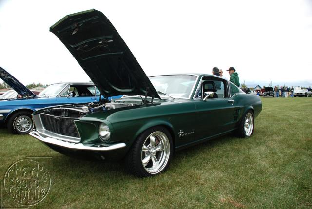 DSC_3608.jpg