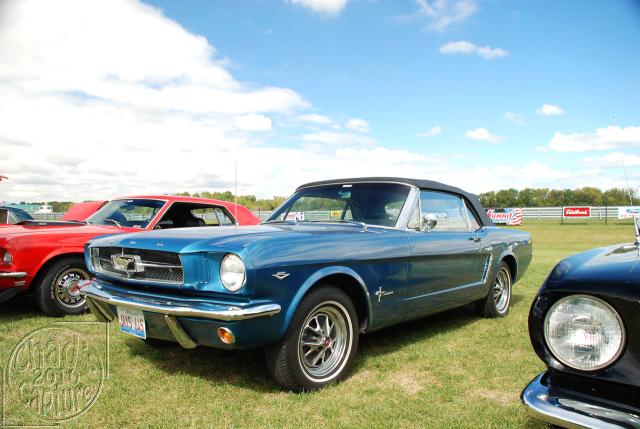 DSC_3659.jpg