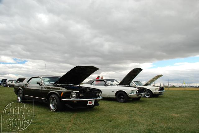 DSC_4285.jpg