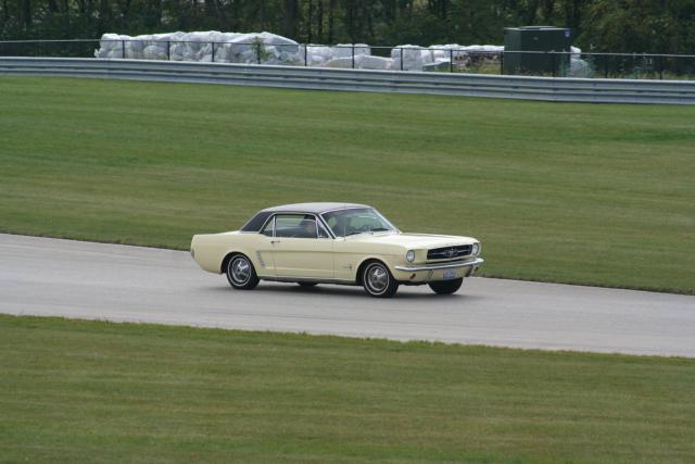 IMG_0263.JPG