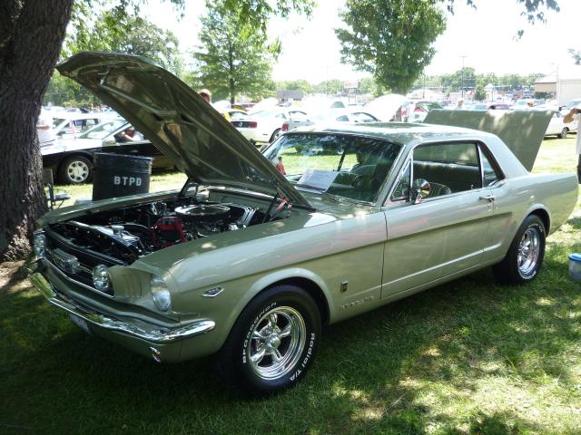 P1050177.JPG