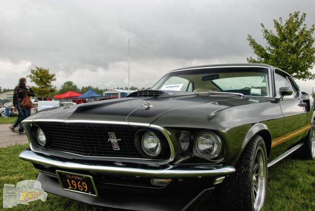 DSC_7130.jpg