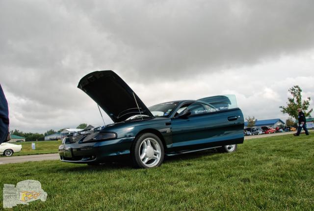 DSC_7211.jpg