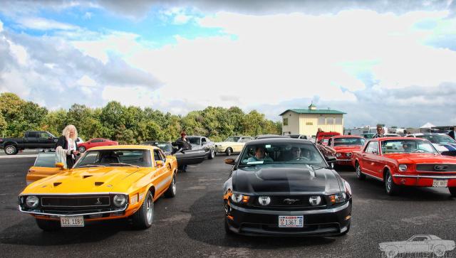 DSC_7305.jpg