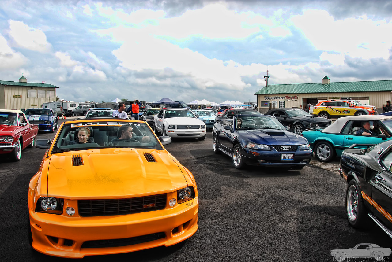 DSC_7308.jpg