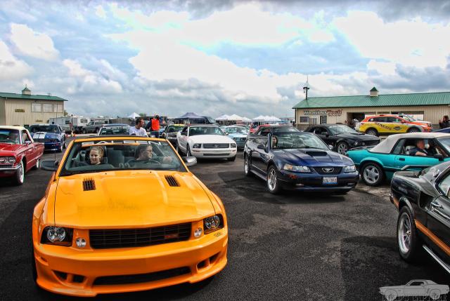 DSC_7308.jpg