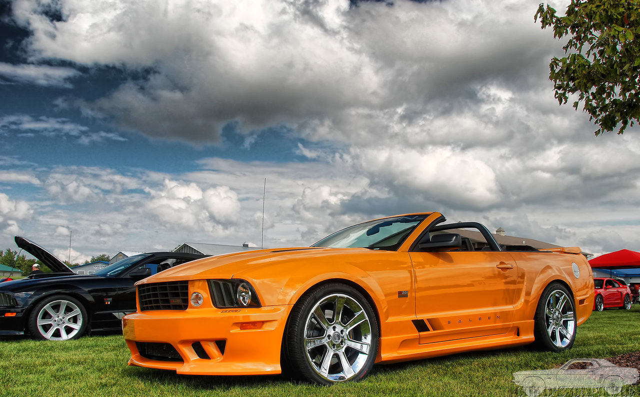 DSC_7688.jpg