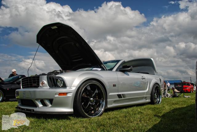 DSC_7689.jpg