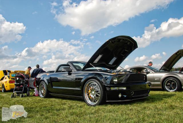 DSC_7693.jpg