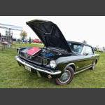 D7K_7859 copy.jpg