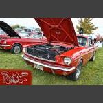 D7K_7863 copy.jpg