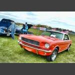 D7K_7899 copy.jpg